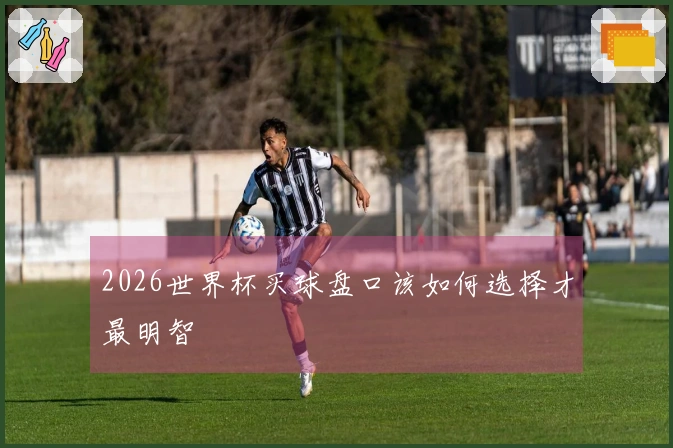2026世界杯买球盘口该如何选择才最明智