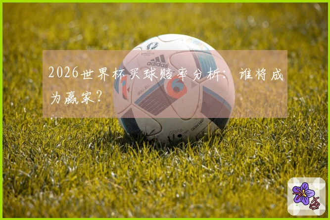 2026世界杯买球赔率分析：谁将成为赢家？