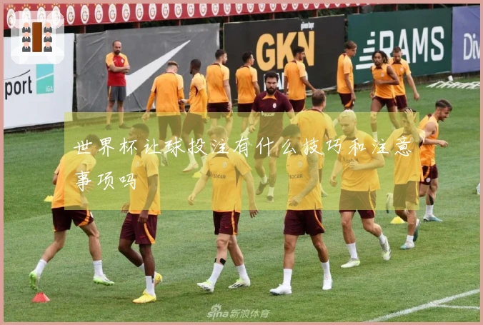 世界杯让球投注有什么技巧和注意事项吗